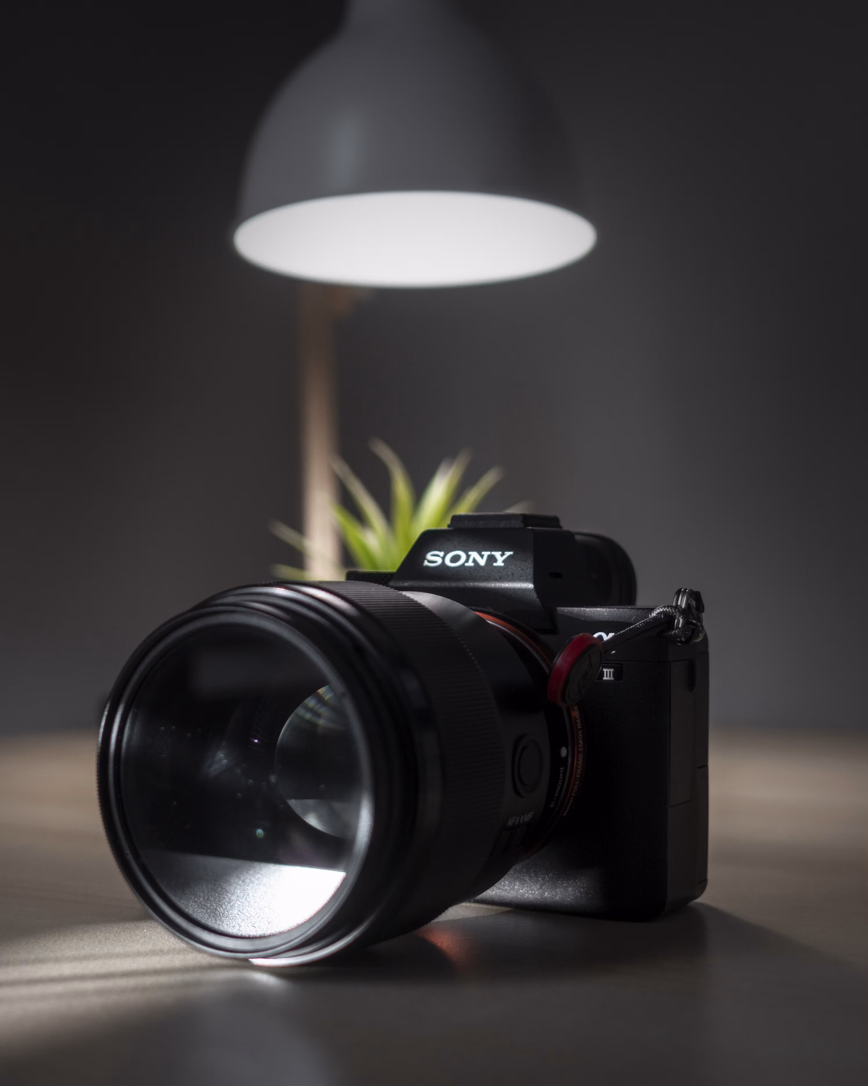 Professional Camera Gear at Photo Park